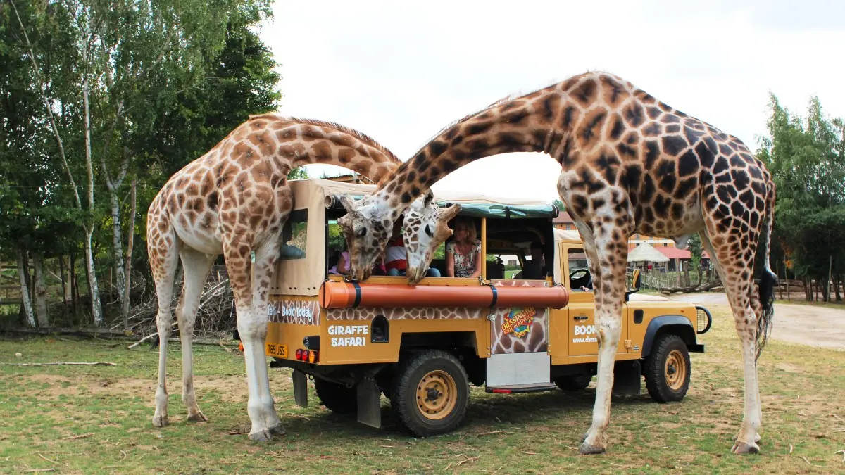 Chessington World of Adventures